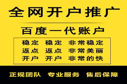 SEM代运营案例分析：精准投放策略解析